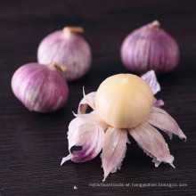 Fresh garlic price in China